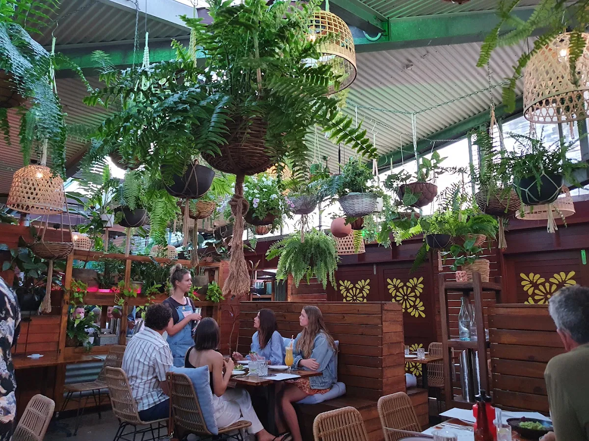 Vibe, Lola's Mexican Cantina