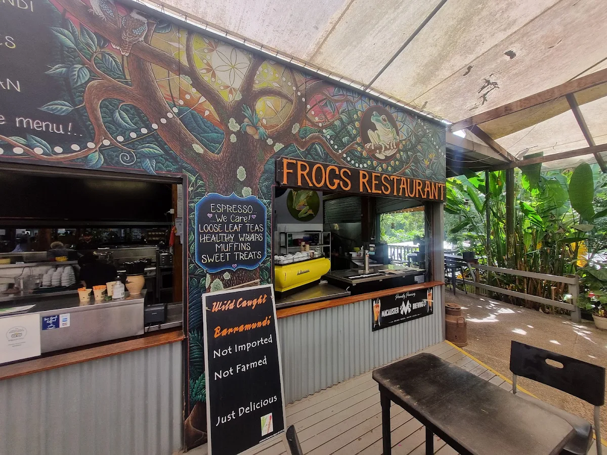 Vibe, Frogs Kuranda