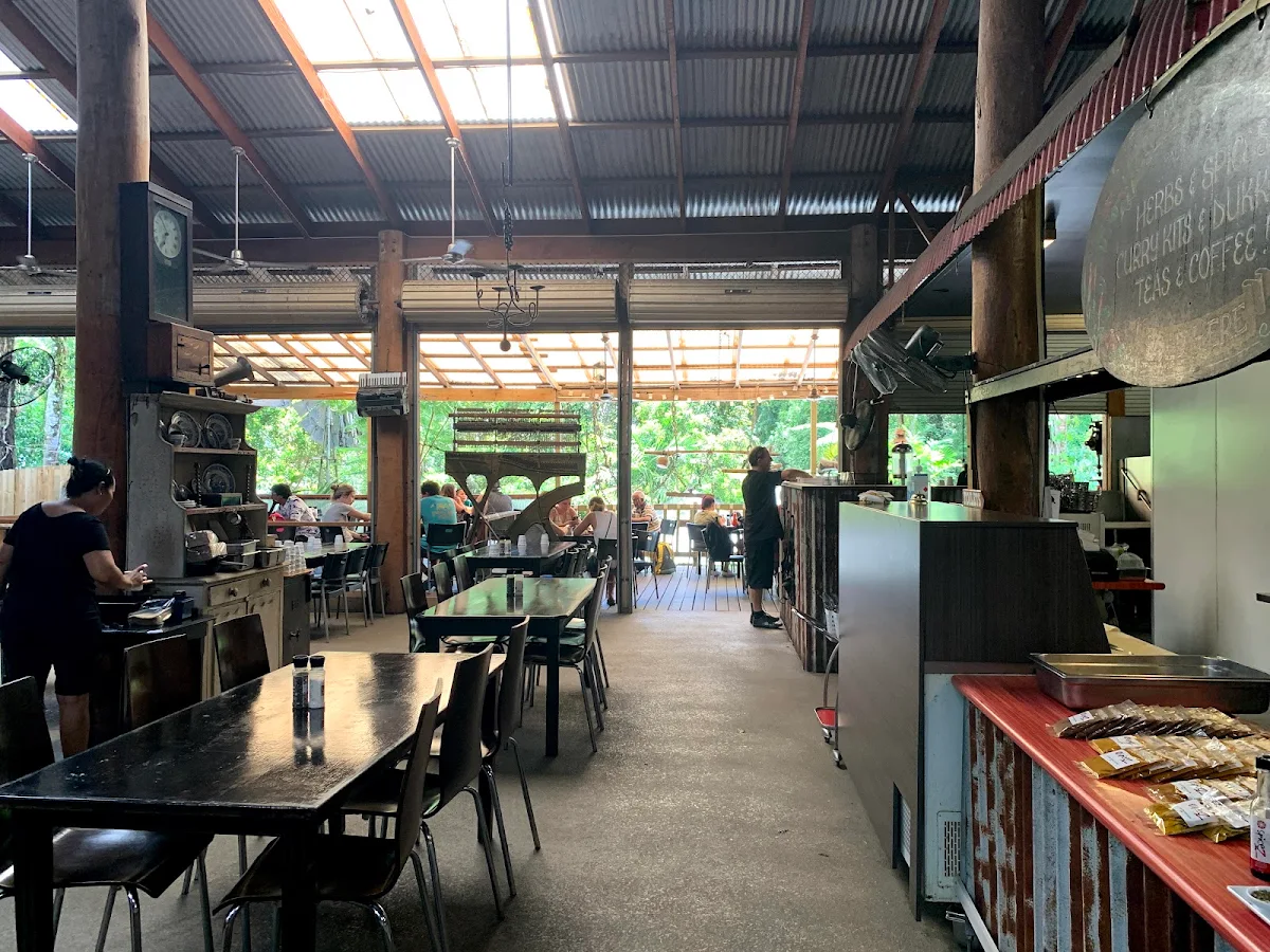 Vibe, Frogs Kuranda