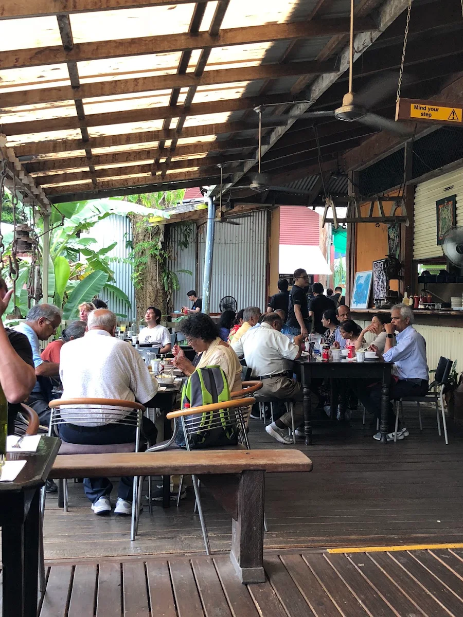 Vibe, Frogs Kuranda