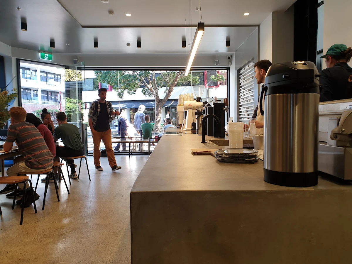 Vibe, Veneziano Coffee Roasters Surry Hills