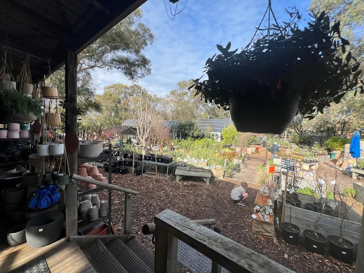 Vibe, CERES Organic Cafe