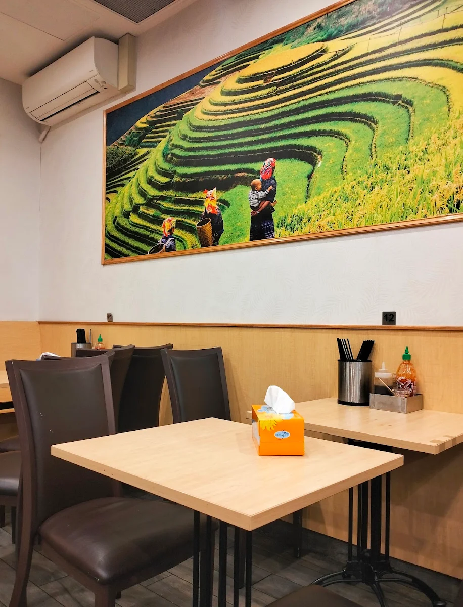 Vibe, Tam Tam Restaurant