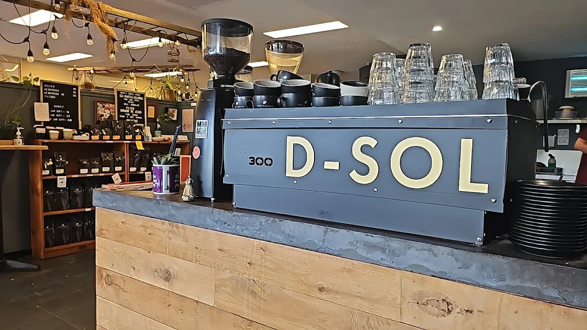 Vibe, D-SOL