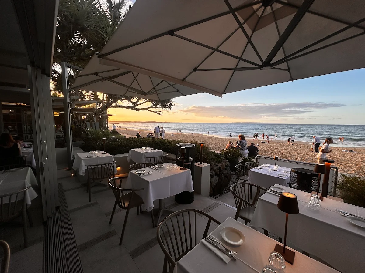 Vibe, Bistro C