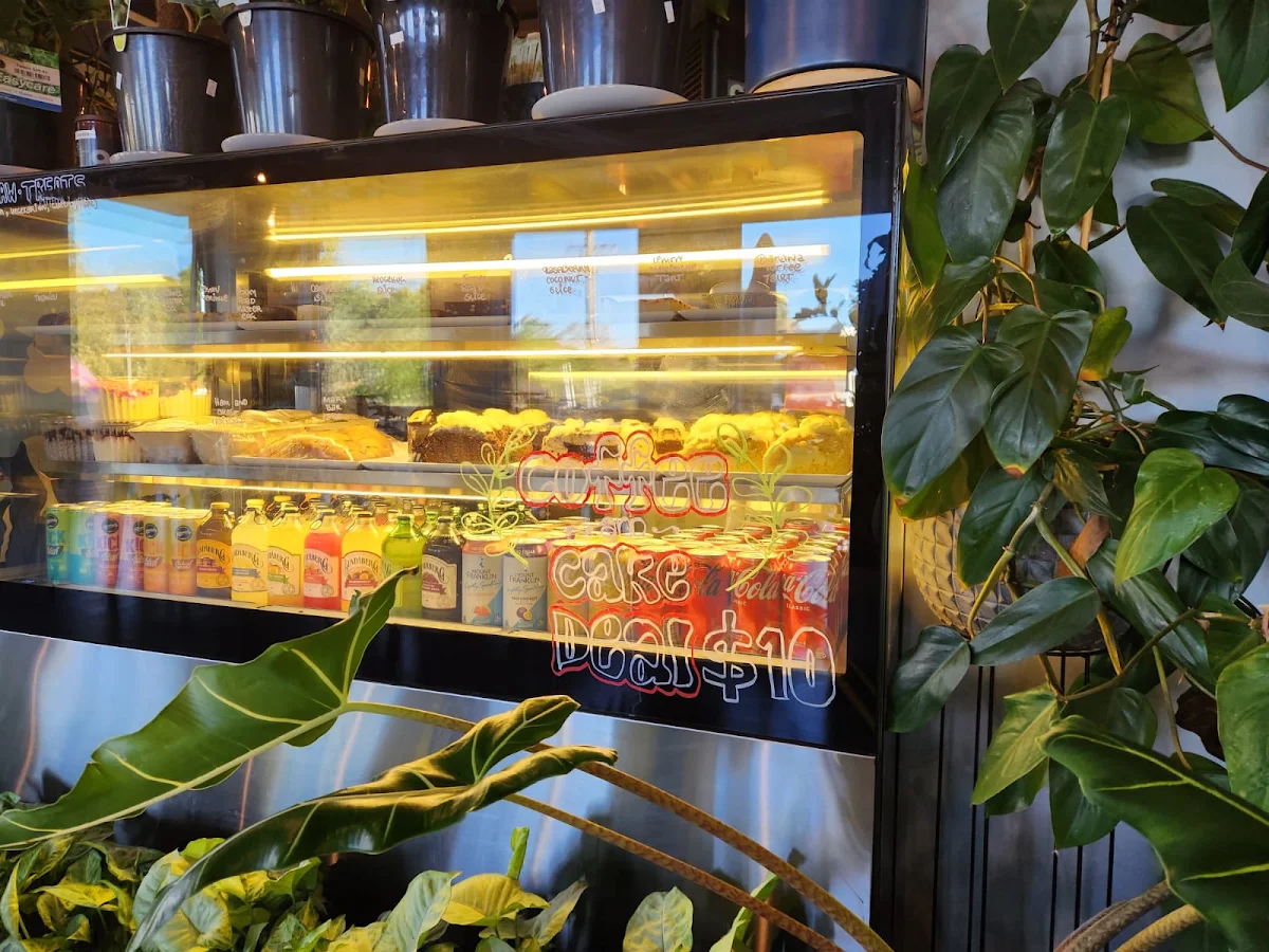 Vibe, That Plant Cafe