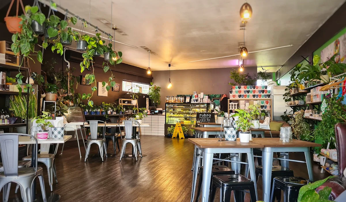 Vibe, That Plant Cafe