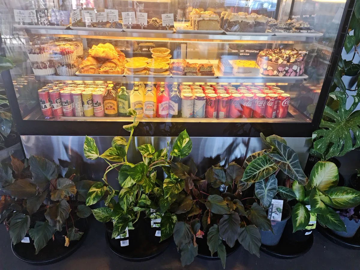 Vibe, That Plant Cafe