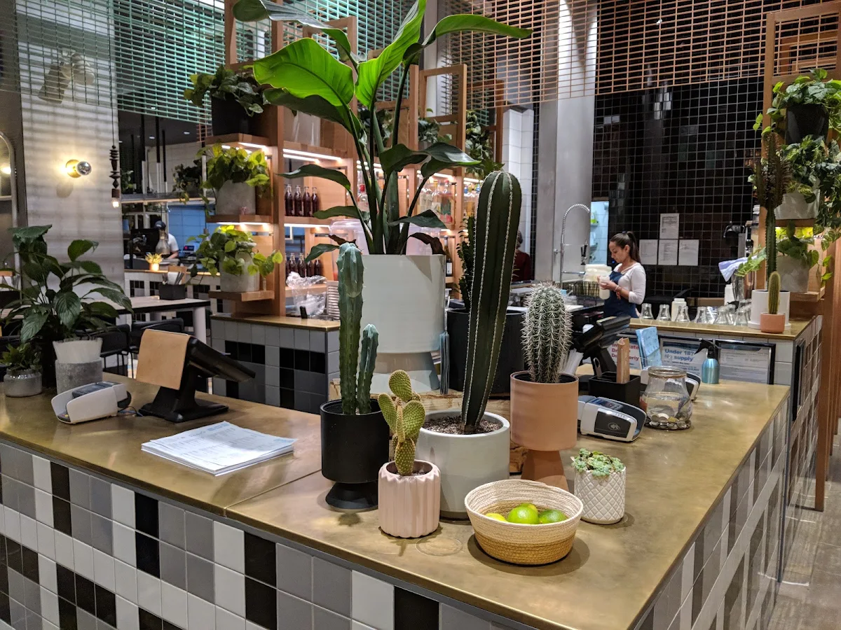 Vibe, Fonda Mexican Chadstone