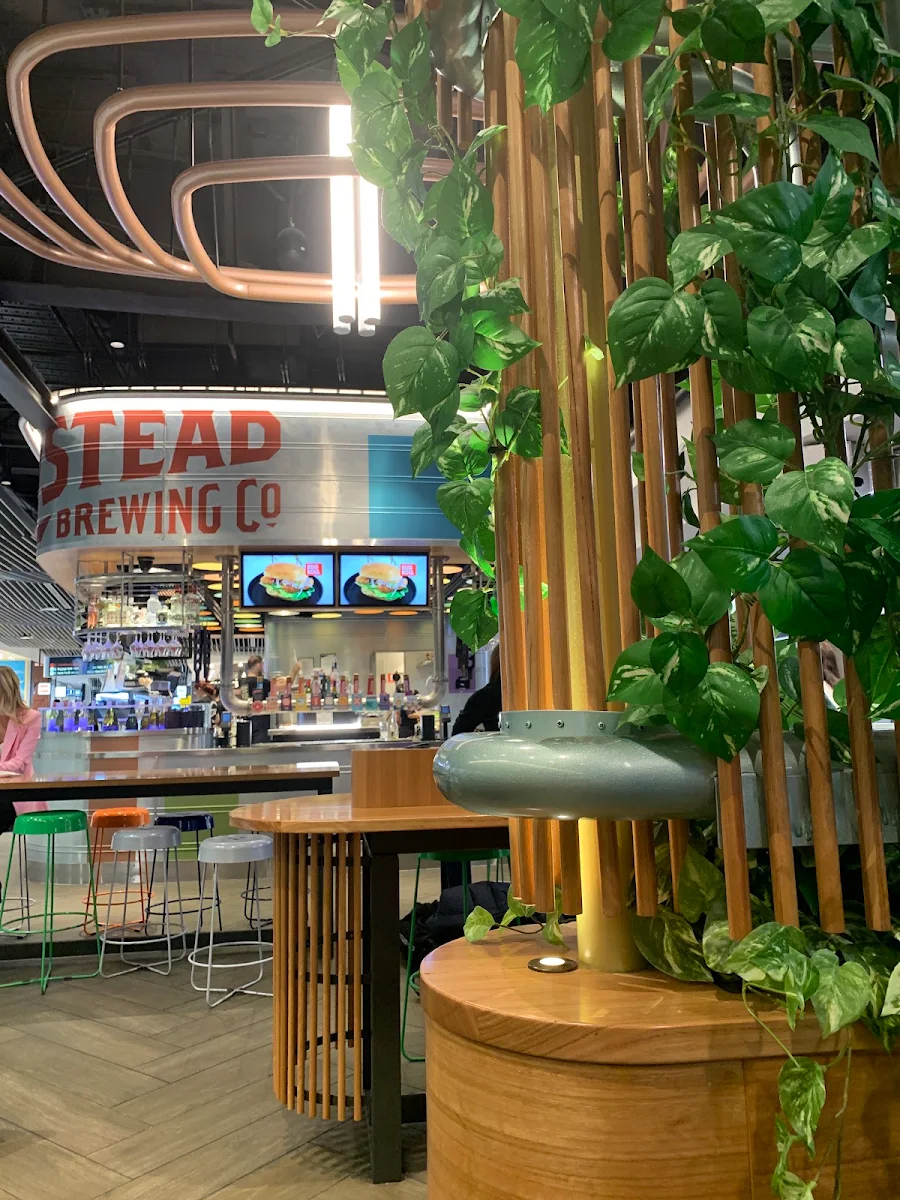 Vibe, Newstead Brewing Co Airport Taphouse