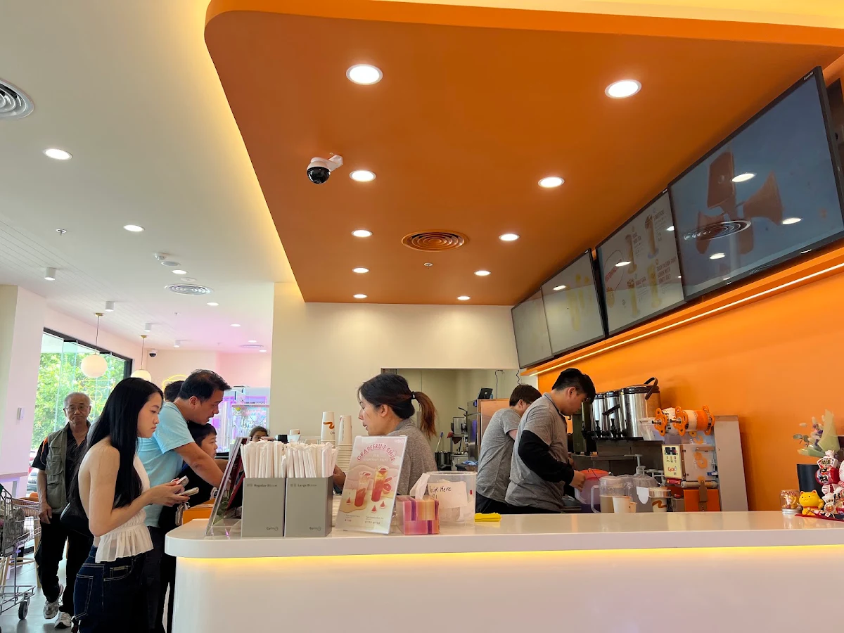 Vibe, CoCo Bubble Tea Hollywood
