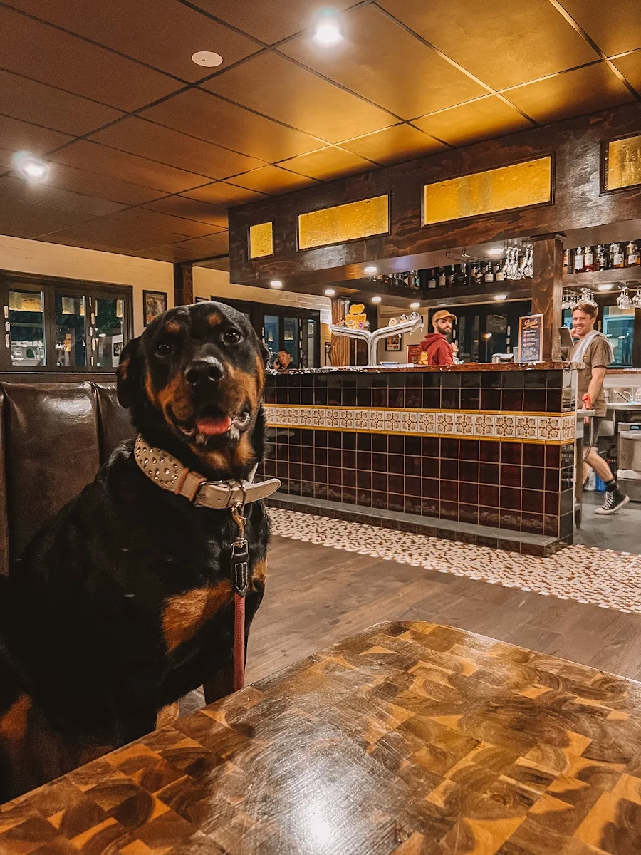 Vibe, Bud's Tavern