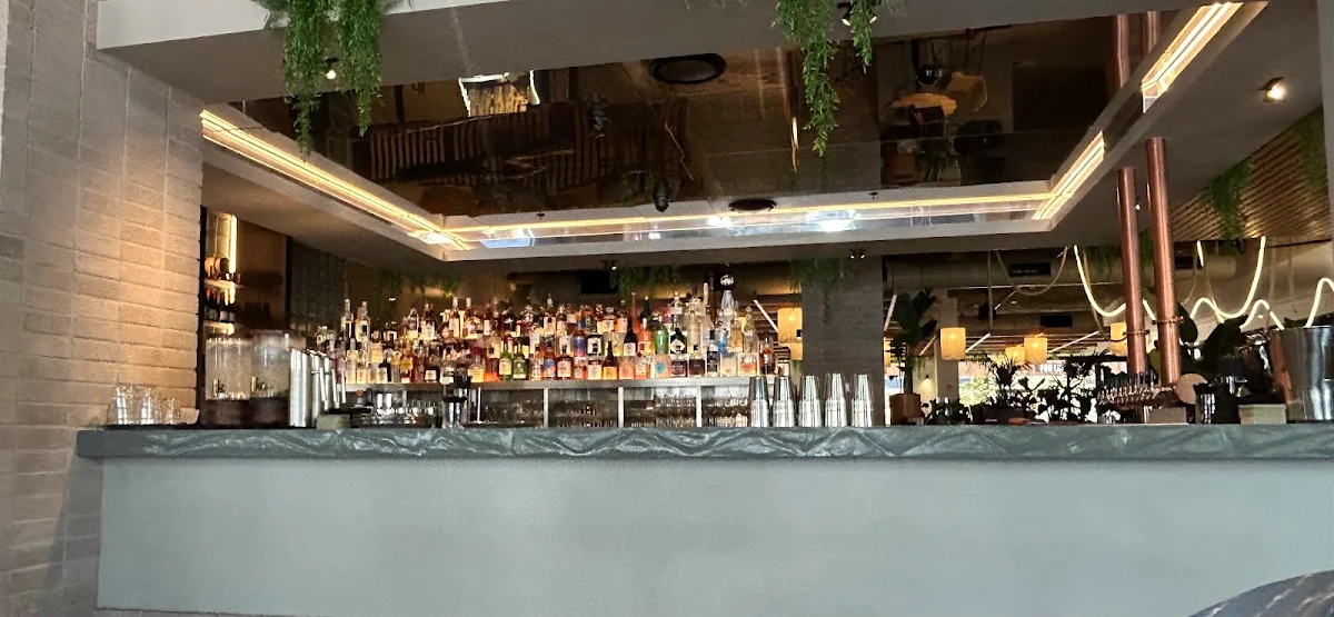 Vibe, Hotel Jardin