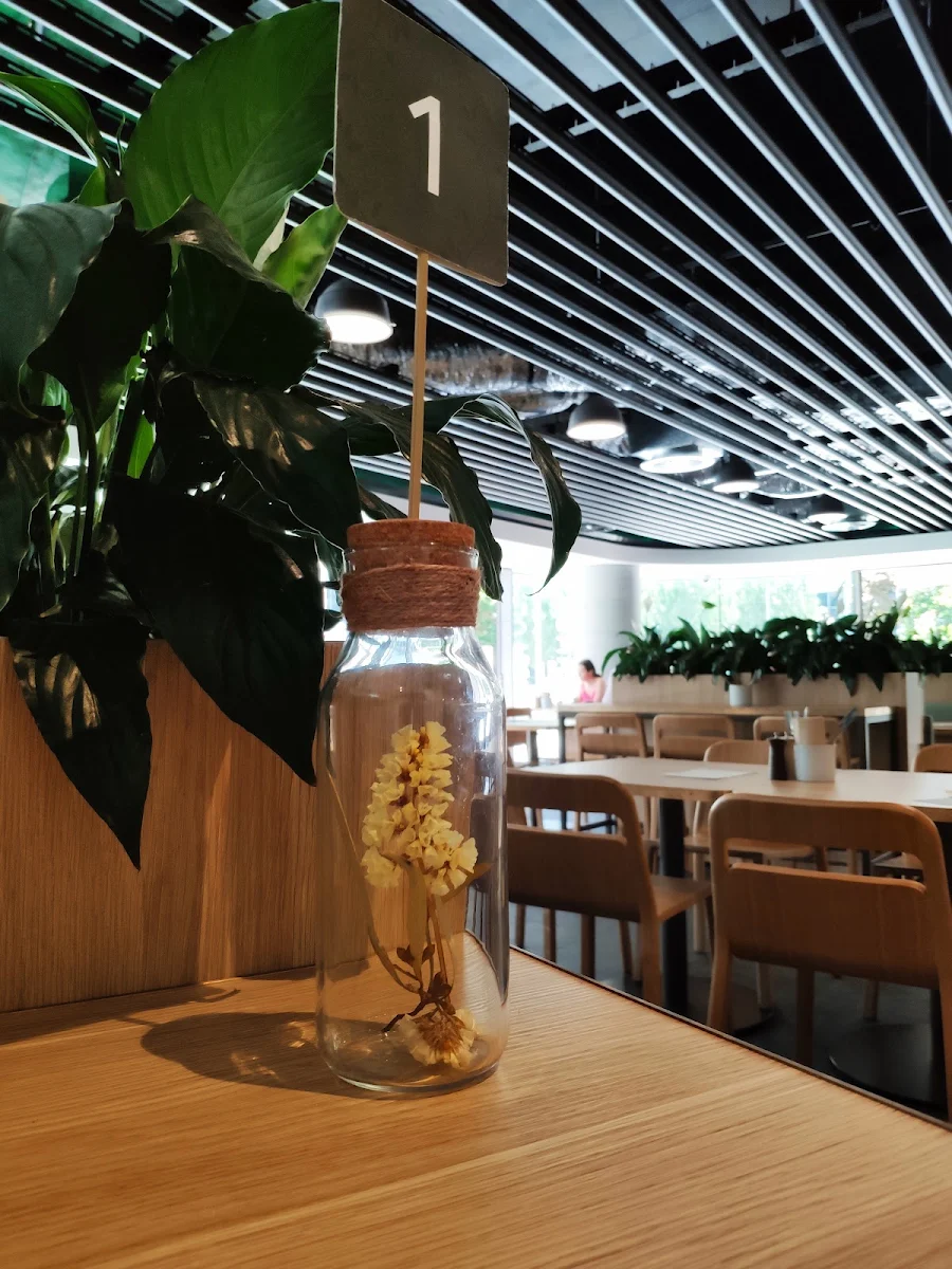 Vibe, The Terrace