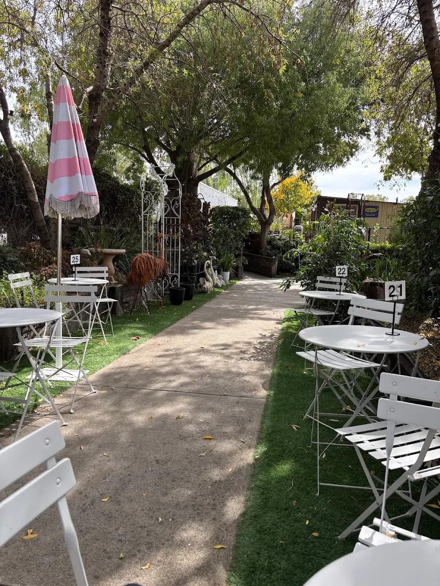 Vibe, Kimmi & Co Teahouse