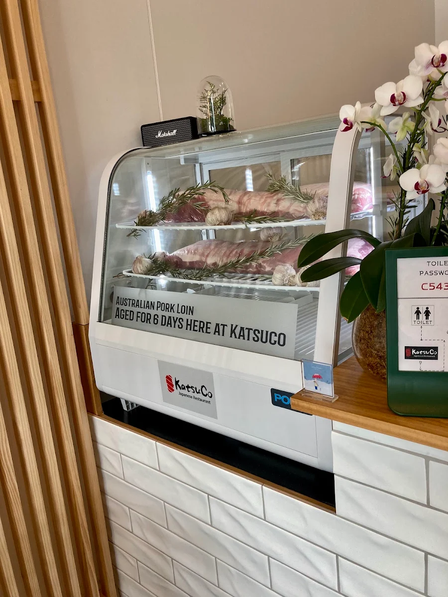 Vibe, KatsuCo North Lakes