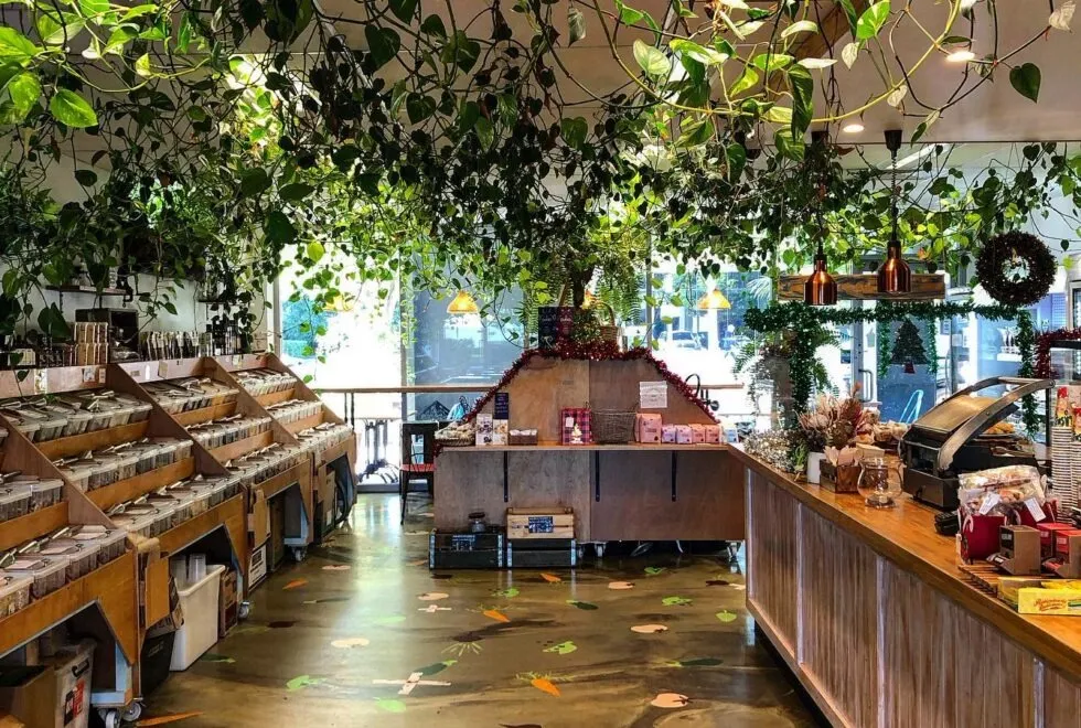 Vibe, Giles St. Cafe & Catering