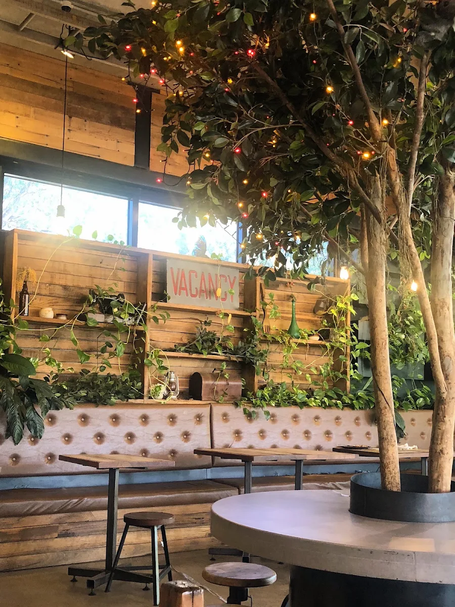 Vibe, The Coffee Grounds