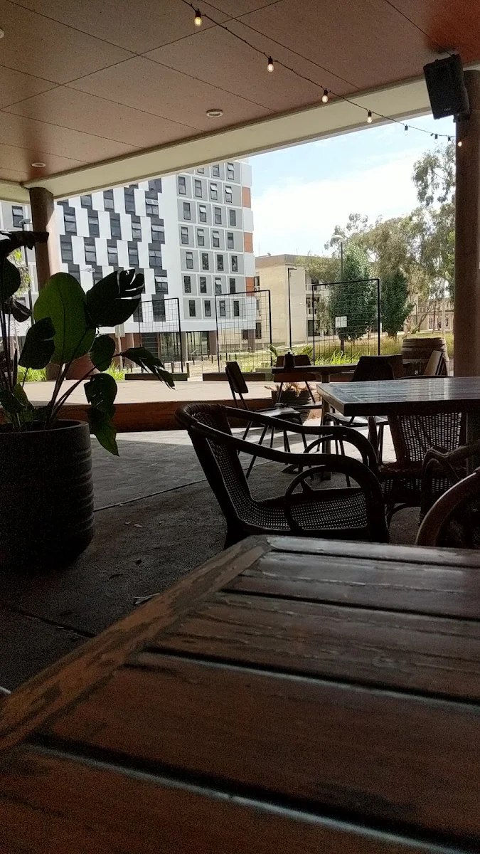 Vibe, The Coffee Grounds