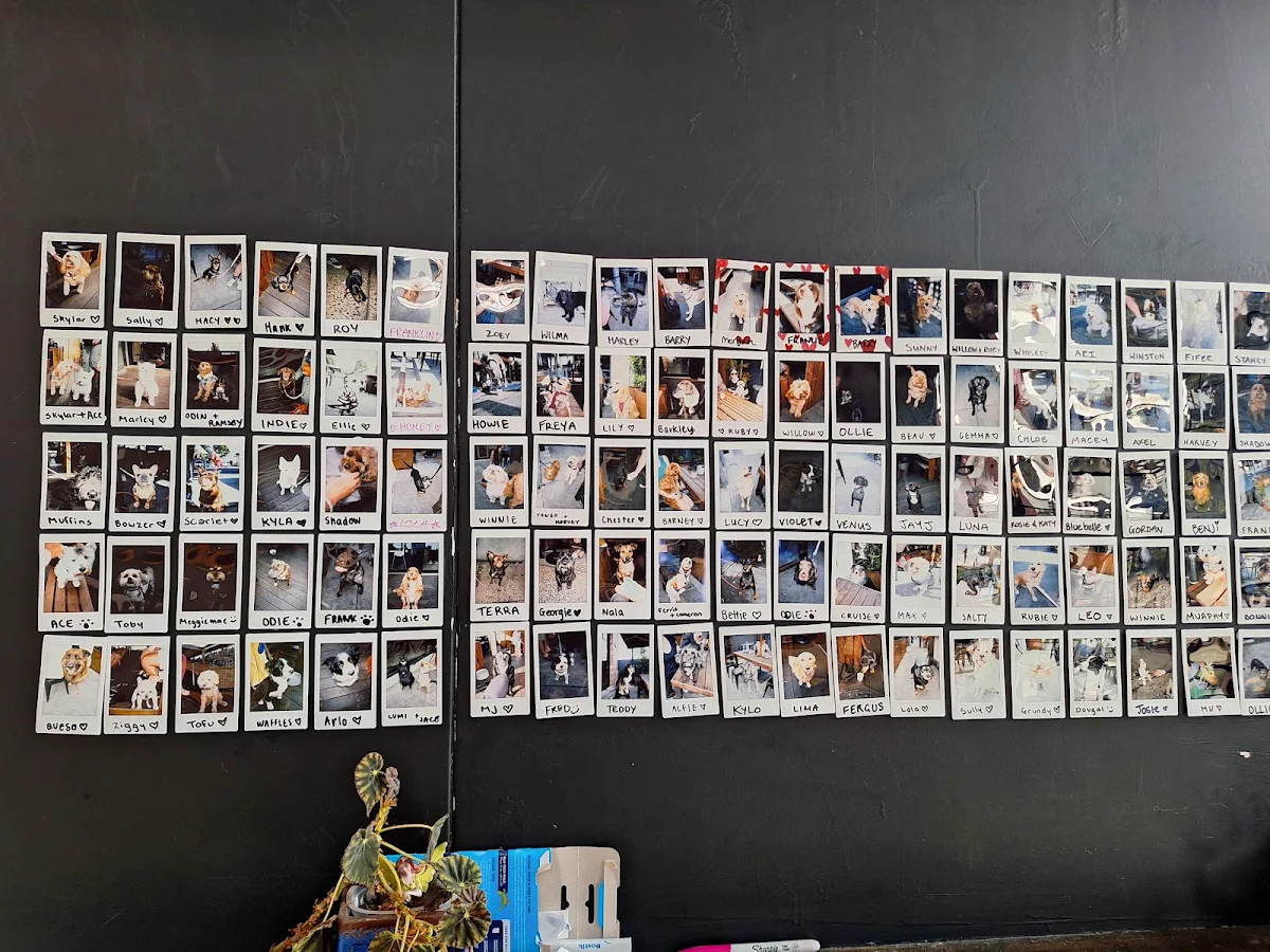 Menu, Industry26 Cafe