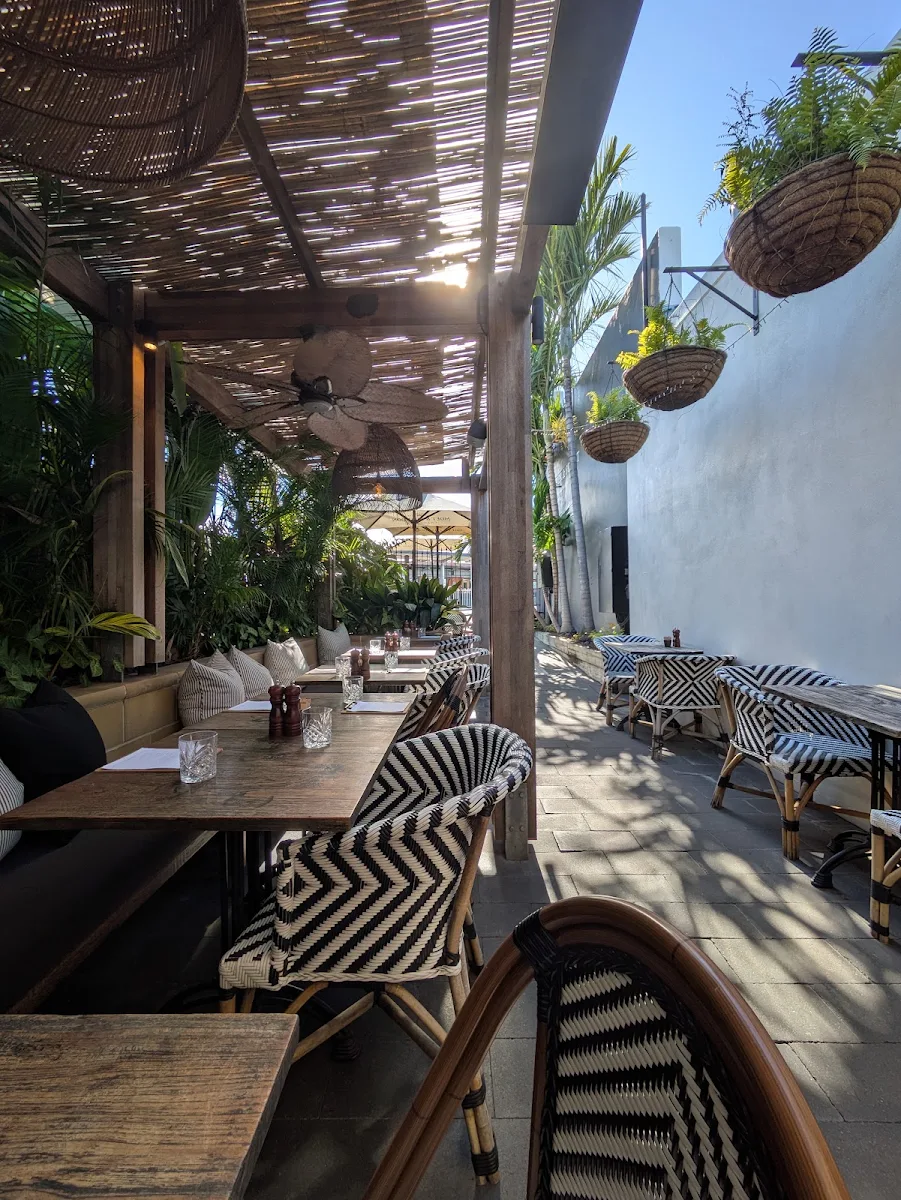 Vibe, Hunter & Scout Café