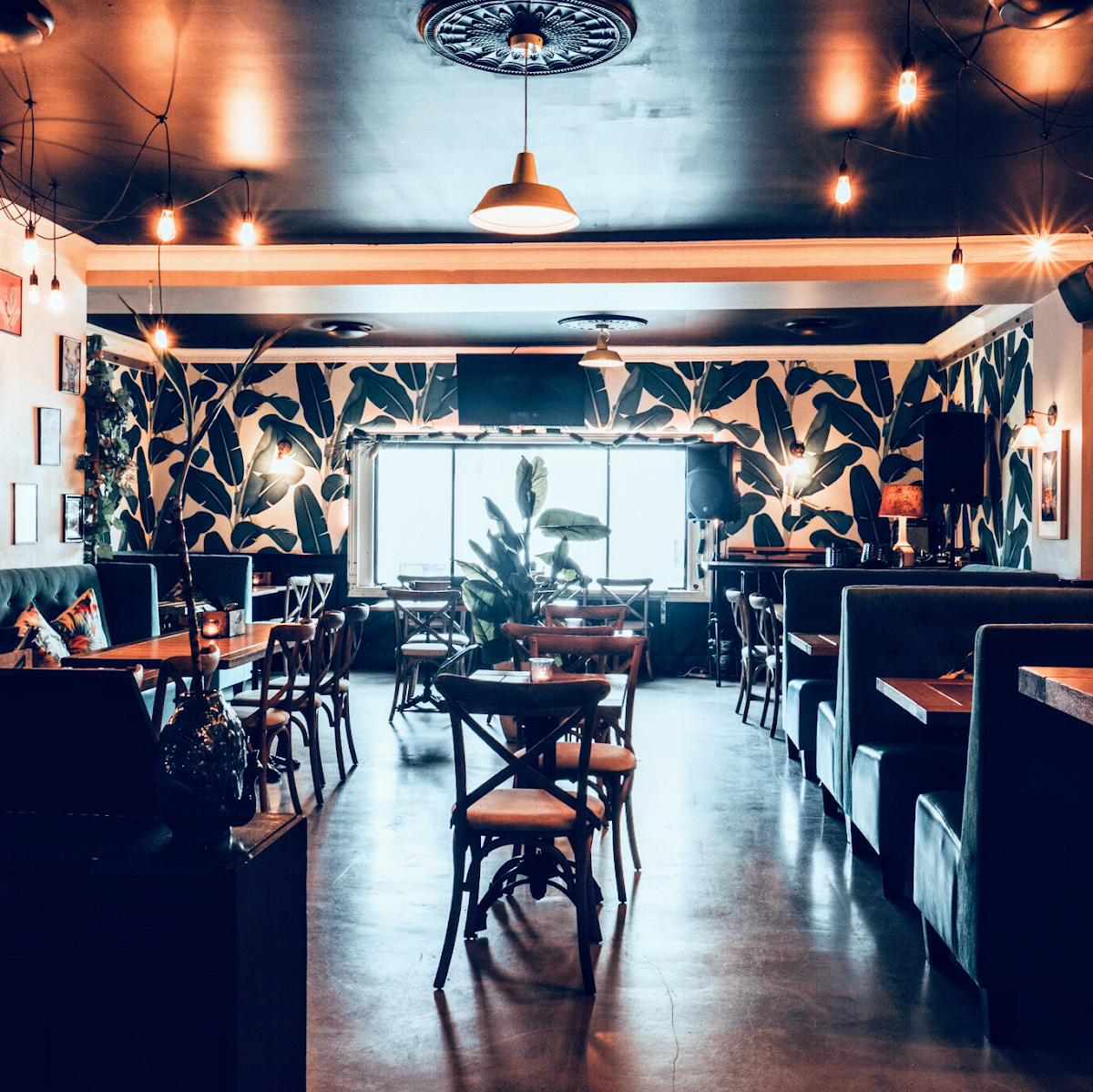 Vibe, Low And Lofty's Cocktail Bar & BBQ Restaurant Cronulla