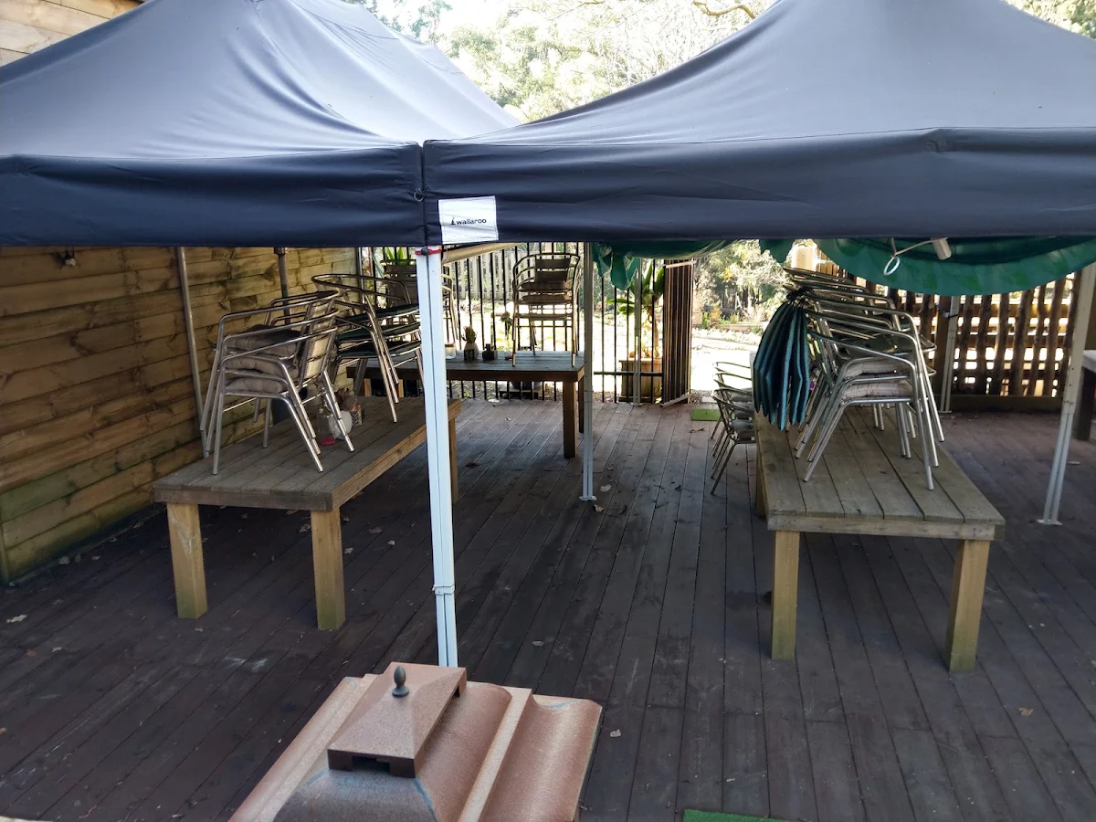 Vibe, Mango's Nuts Cafe & Restaurant