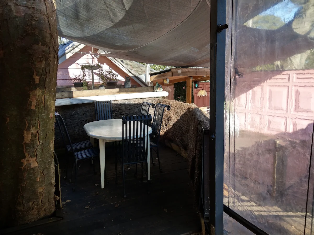 Vibe, Mango's Nuts Cafe & Restaurant