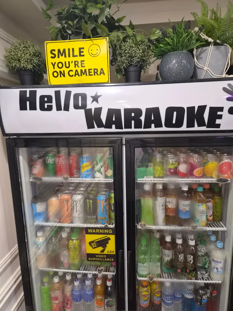 Vibe, KPOP Karaoke