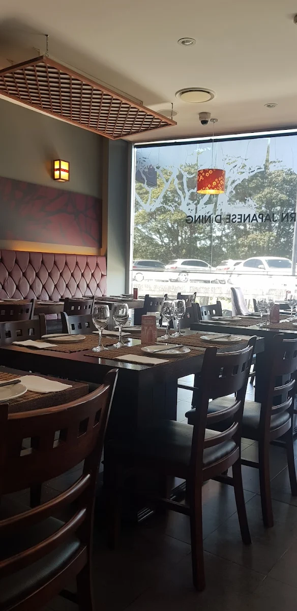 Vibe, Acacia Modern Japanese Dining
