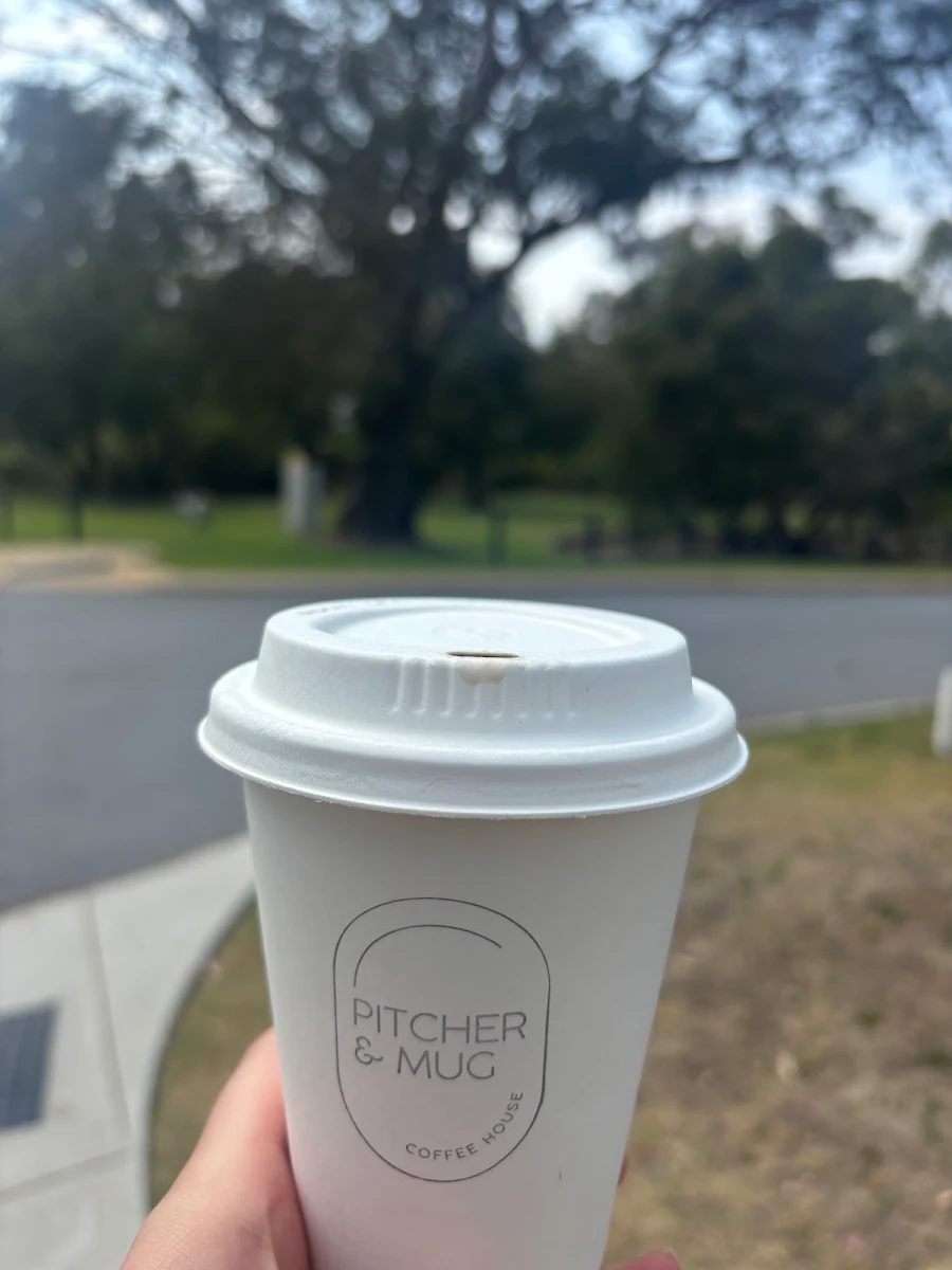 Food & drink, Pitcher & Mug