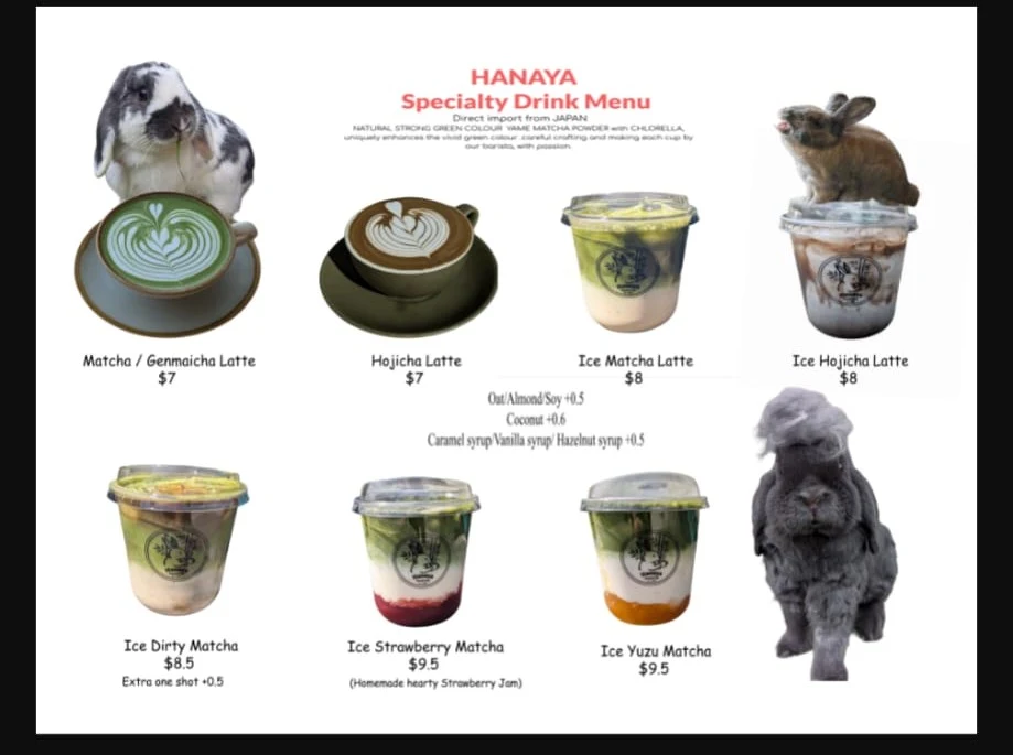 Menu, Hanaya Fusion Cafe