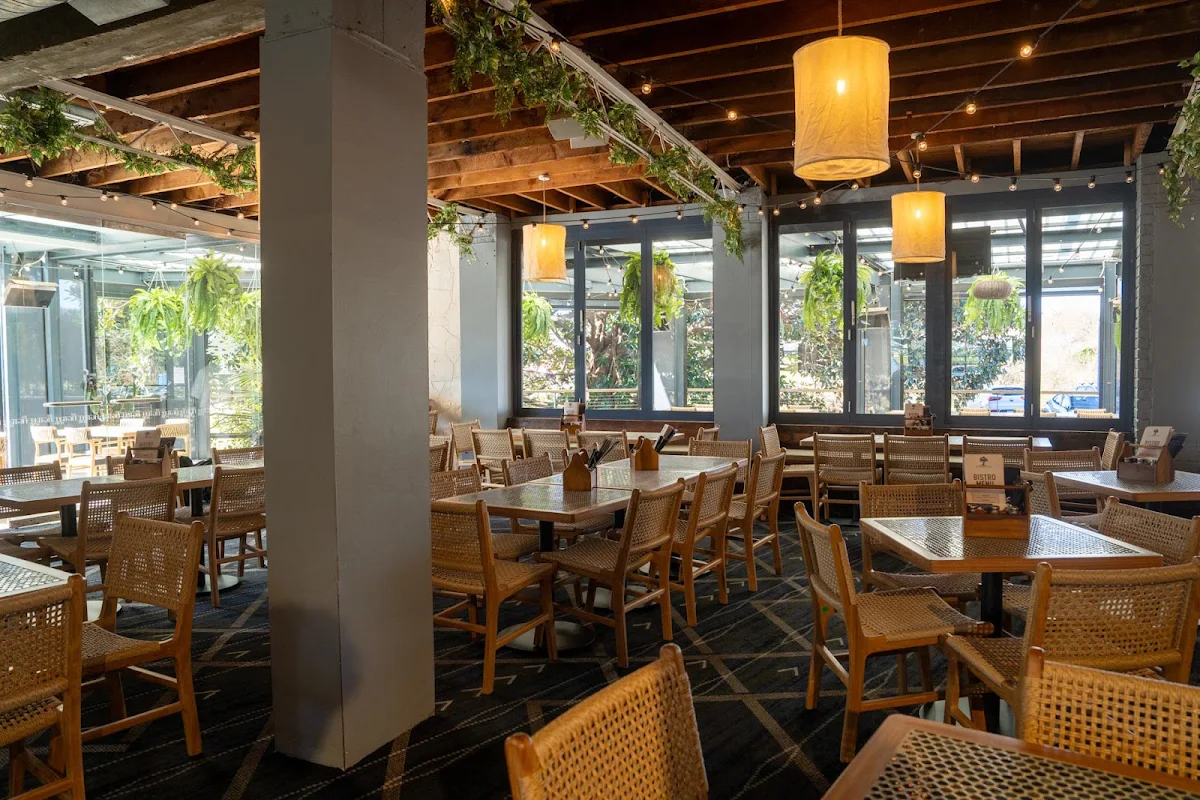 Vibe, Figtree Hotel