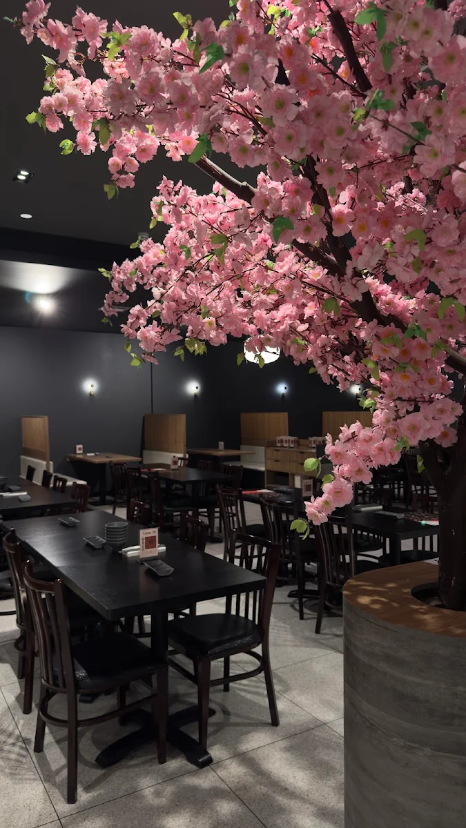 Vibe, SAIKYO Craigieburn