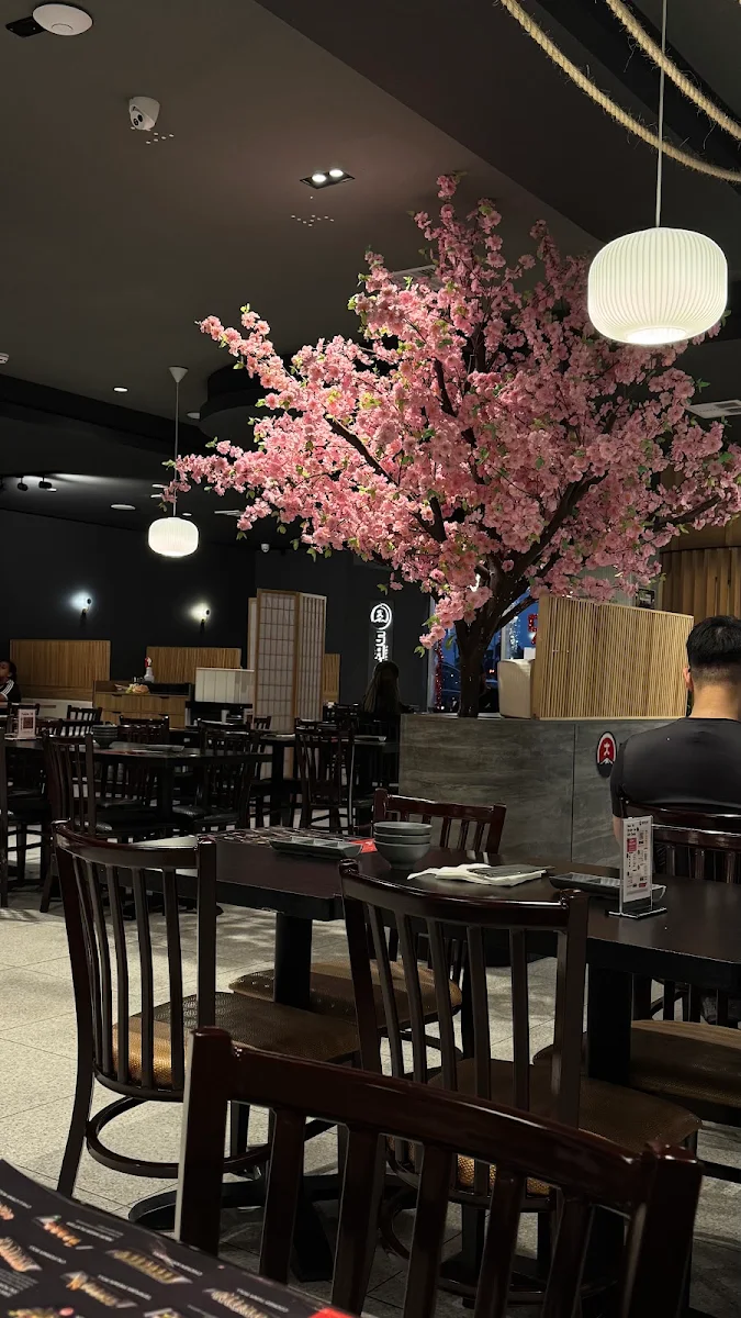 Vibe, SAIKYO Craigieburn