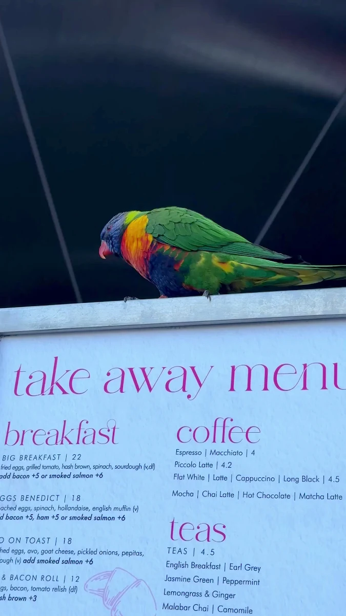 Menu, Caffe Gigi
