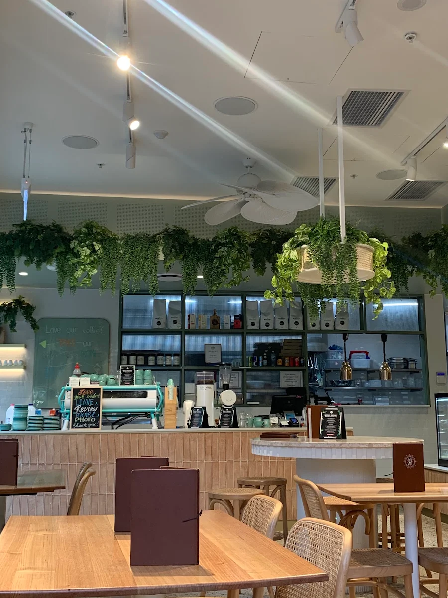 Vibe, Daily Bean ED Square