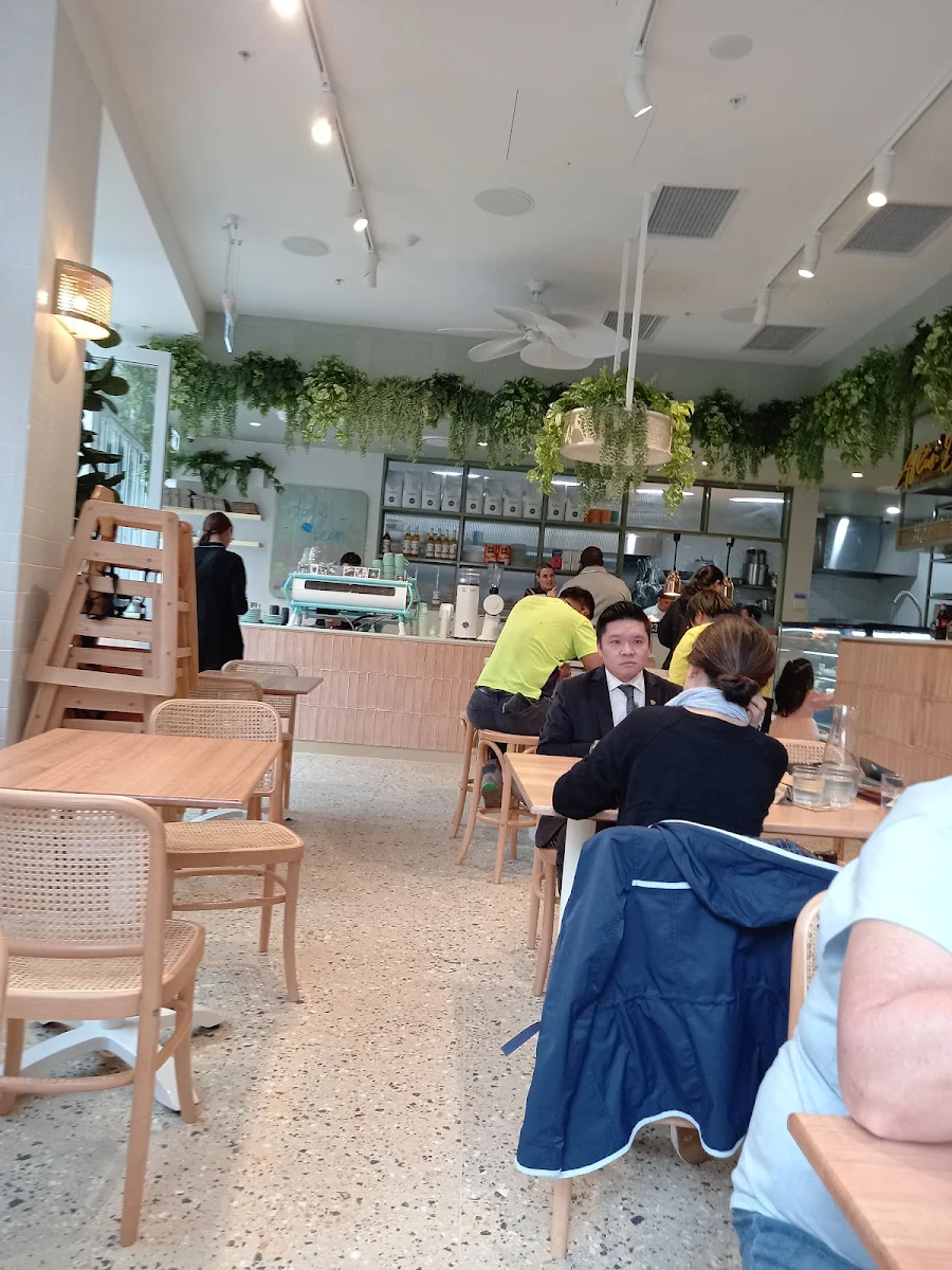 Vibe, Daily Bean ED Square