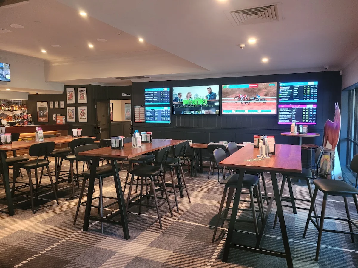 Vibe, Koala Tavern