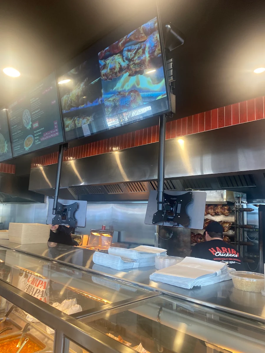 Vibe, Hariri Chickens Panania