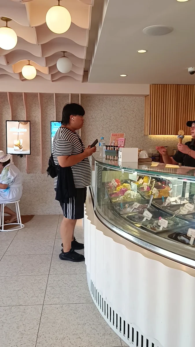 Vibe, Gelatissimo Watsons Bay