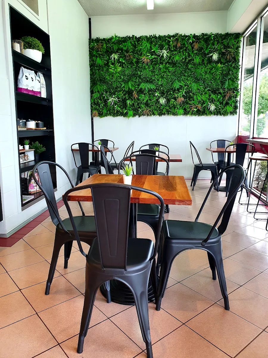Vibe, Cafe on Dougharty