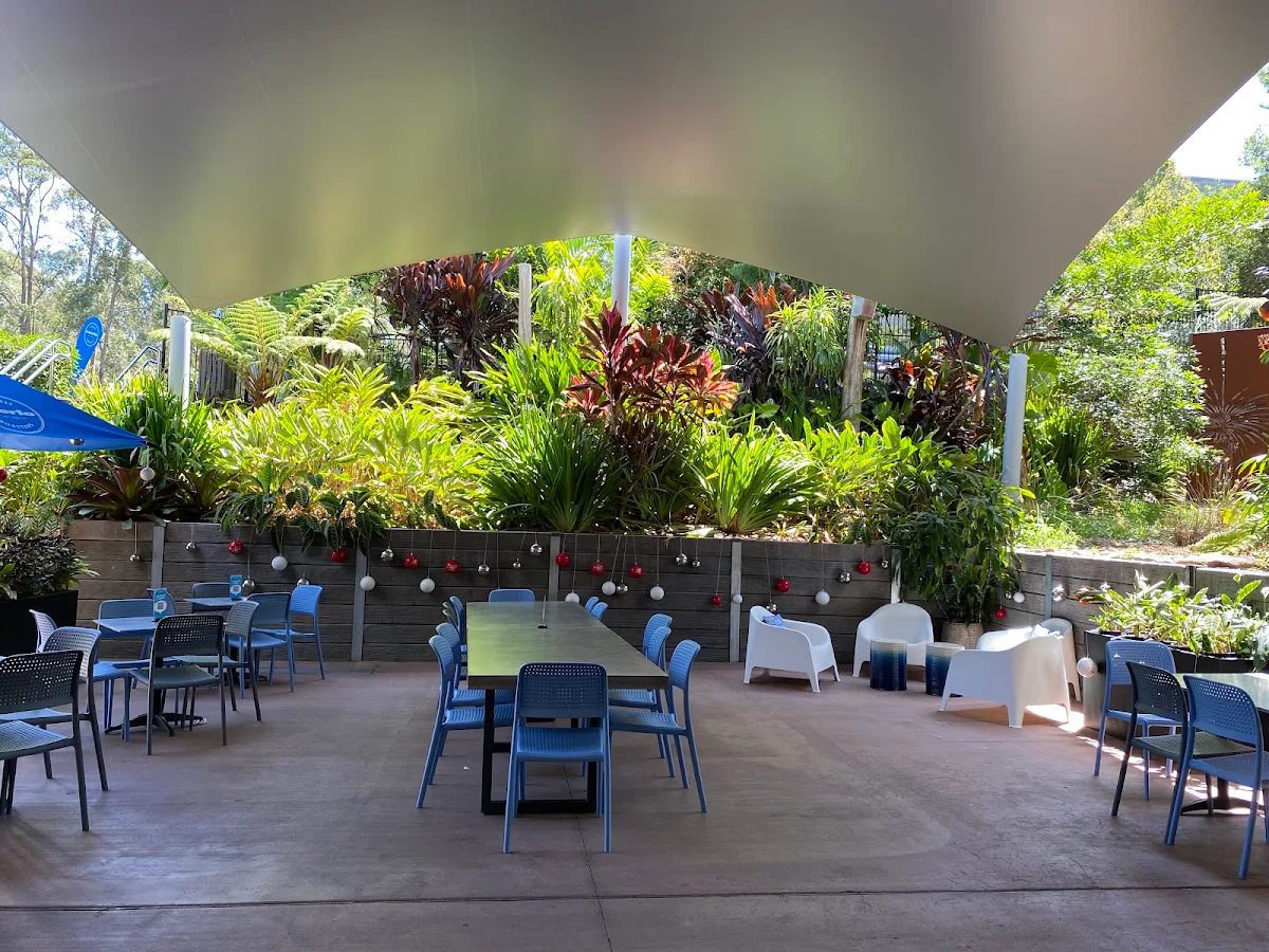 Vibe, Aquatic cafe