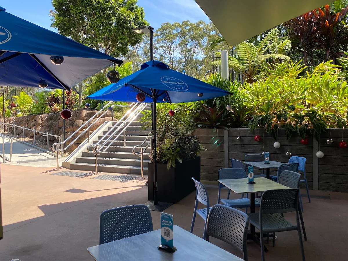 Vibe, Aquatic cafe