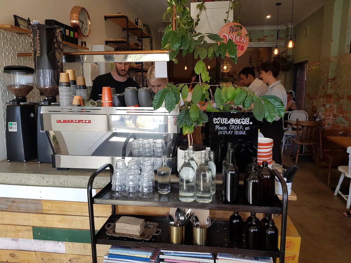 Vibe, Hardluck Coffee Co.