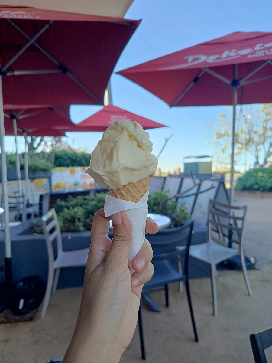 Vibe, Bella Balena Gelateria