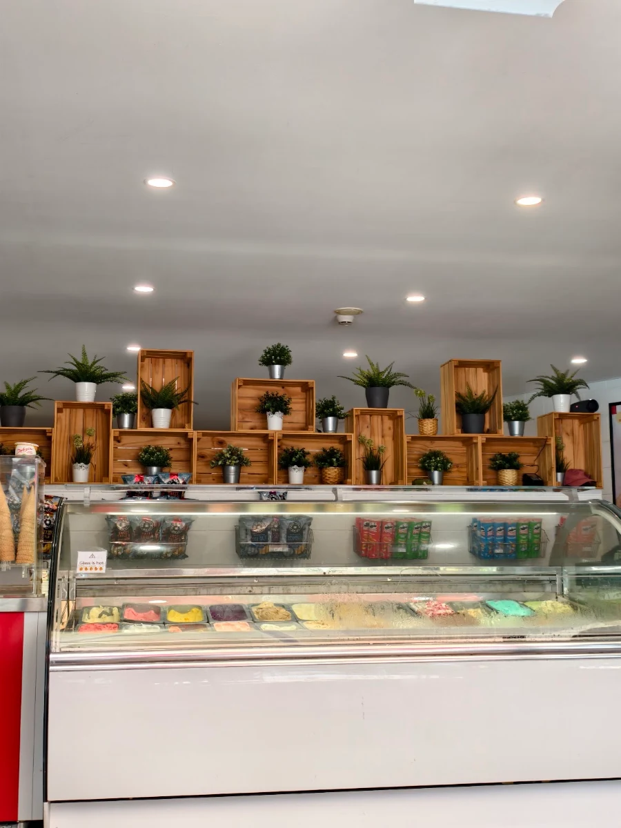 Vibe, Bella Balena Gelateria