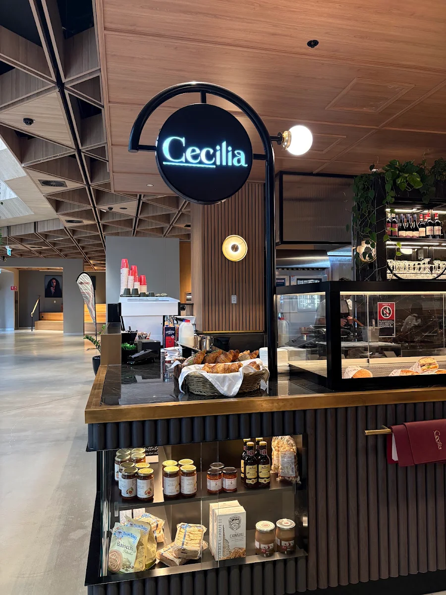 Vibe, Cecilia