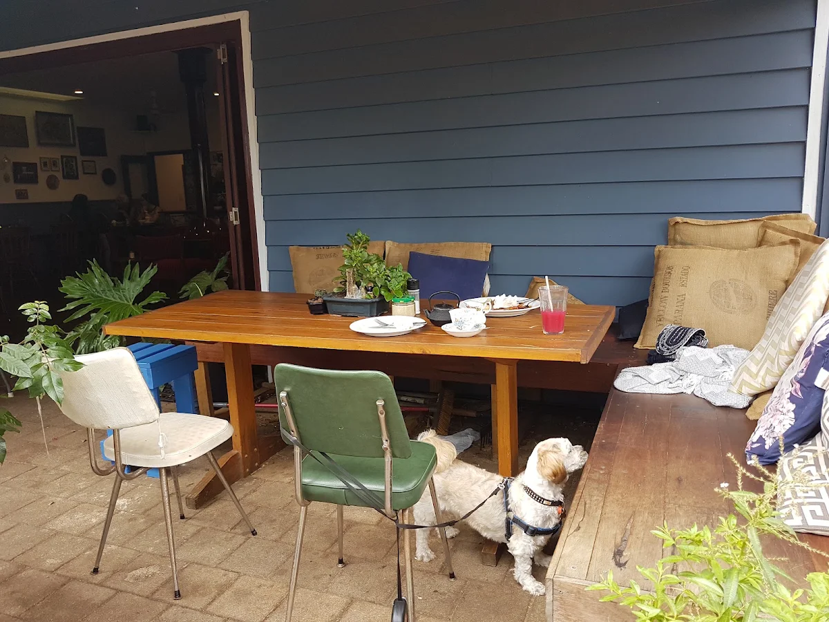 Vibe, YARDBYRD