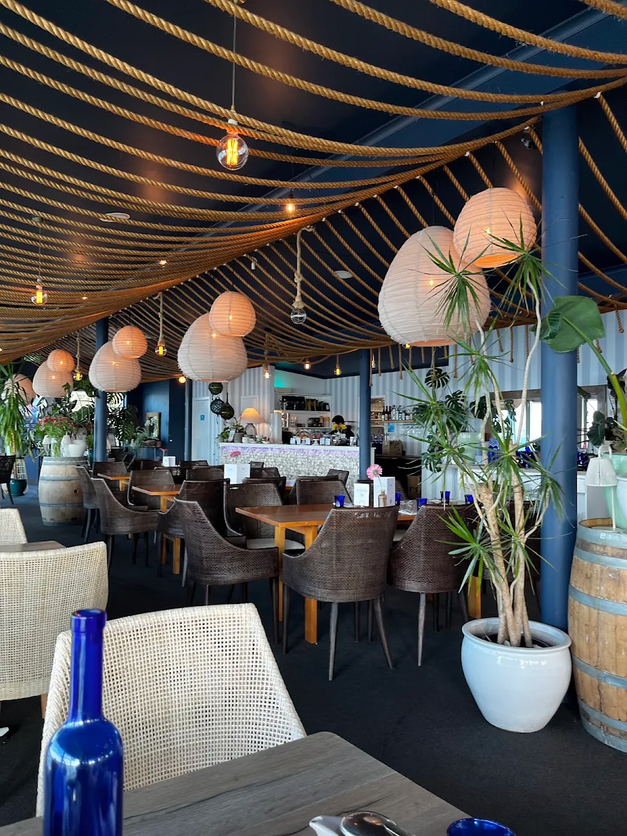 Vibe, Seagrass Long Point